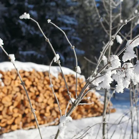 Lejlighed Hus Im Schwefelmaettle, *